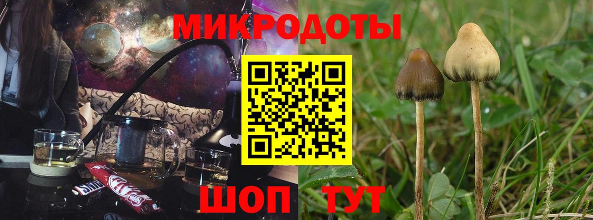 Псилоцибиновые грибы MAGIC MUSHROOMS Щёлково